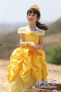 夏克立背景,从影视明星到全能艺人，多面才华成就非凡人生